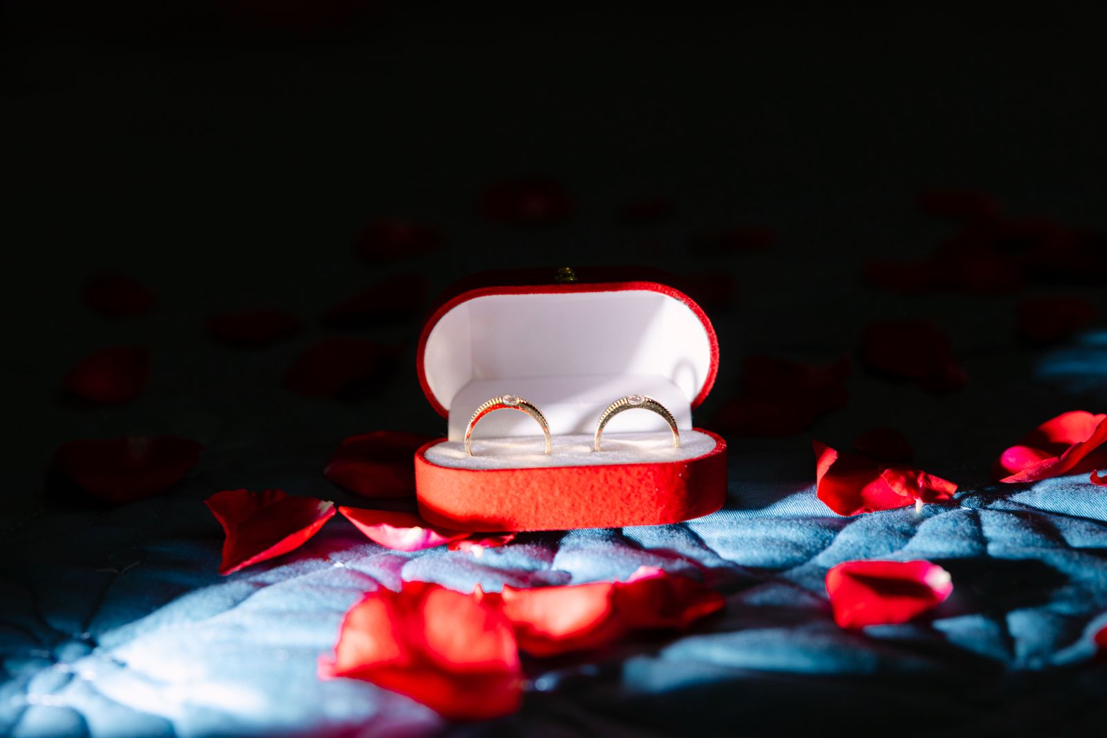 Gold rings in a velvet box